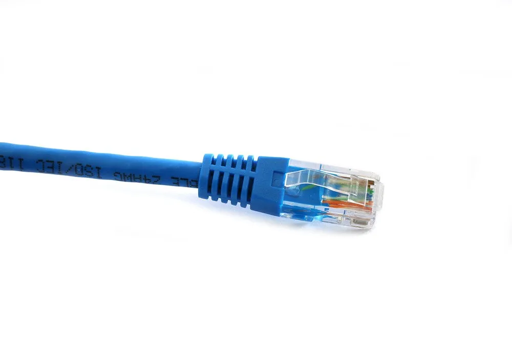 30M Cat6 Patch Lead | Blue