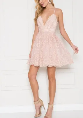 Blush Lace Cocktail Dress