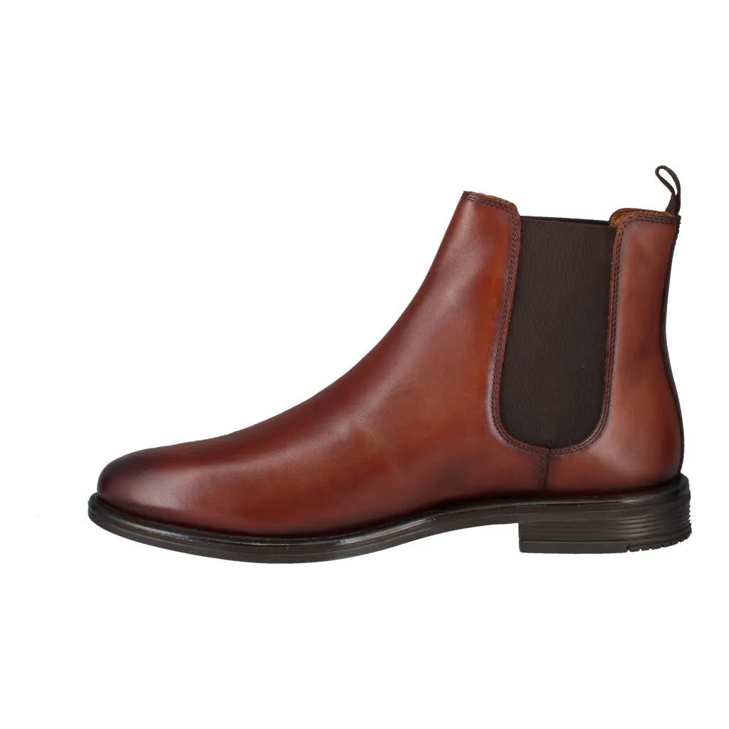 JOSEF SEIBEL Cedric 01