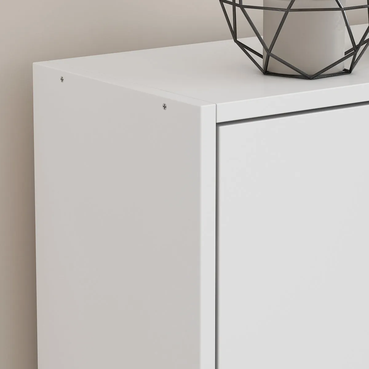 Shoe Cabinet with 2 Flip Drawers for Entryway Modern Shoe Storage Cabinet